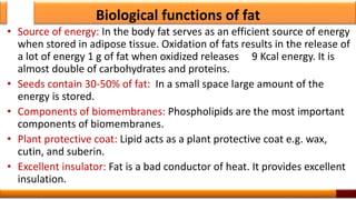 Biological functions of fat
• Source of energy: In the body fat serves as an efficient source of energy
when stored in adipose tissue. Oxidation of fats results in the release of
a lot of energy 1 g of fat when oxidized releases 9 Kcal energy. It is
almost double of carbohydrates and proteins.
• Seeds contain 30-50% of fat: In a small space large amount of the
energy is stored.
• Components of biomembranes: Phospholipids are the most important
components of biomembranes.
• Plant protective coat: Lipid acts as a plant protective coat e.g. wax,
cutin, and suberin.
• Excellent insulator: Fat is a bad conductor of heat. It provides excellent
insulation.
13
 