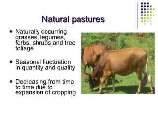 Overview of livestock feed supply in ethiopia