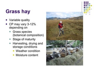 Overview of livestock feed supply in ethiopia