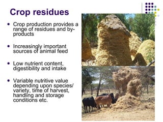 Overview of livestock feed supply in ethiopia