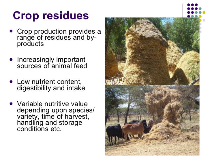 Overview of livestock feed supply in ethiopia
