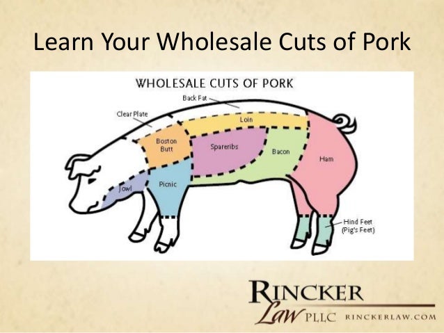 Overview of Livestock Judging