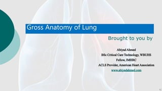 Gross Anatomy of Lung
Brought to you by
AbiyadAhmed
BSc Critical CareTechnology,WBUHS
Fellow, IMHRC
ACLSProvider,AmericanHeartAssociation
www.abiyadahmed.com
 