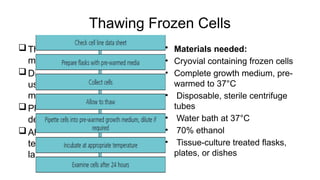 Frozen Cell Line Introduction to mammalian cell culture.pptx