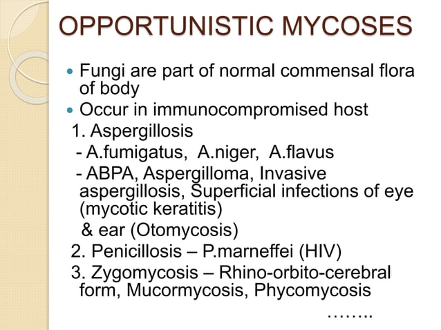 overview-of-medical-mycology-ppt