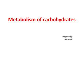 Metabolism of carbohydrates
Prepared by
Maria gul
 