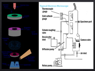Typical Electron Microscope
 