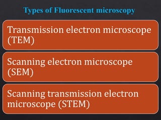 Transmission electron microscope
(TEM)
Scanning electron microscope
(SEM)
Scanning transmission electron
microscope (STEM)
 