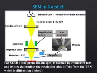 For SEM: a fine probe (beam spot) is formed by condenser lens
and its size determines the resolution (this differs from the TEM
which is diffraction limited)
 