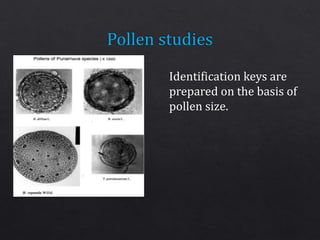 Identification keys are
prepared on the basis of
pollen size.
 