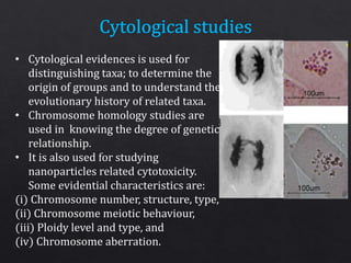 • Cytological evidences is used for
distinguishing taxa; to determine the
origin of groups and to understand the
evolutionary history of related taxa.
• Chromosome homology studies are
used in knowing the degree of genetic
relationship.
• It is also used for studying
nanoparticles related cytotoxicity.
Some evidential characteristics are:
(i) Chromosome number, structure, type,
(ii) Chromosome meiotic behaviour,
(iii) Ploidy level and type, and
(iv) Chromosome aberration.
 