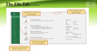 Microsoft Excel | PDF