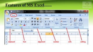 Microsoft Excel | PDF