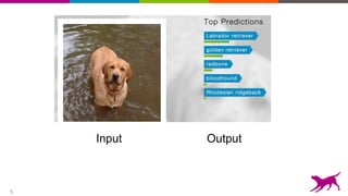 5
Input Output
 