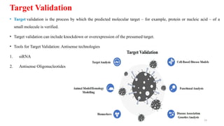 Overview of Modern Drug Discovery Process-1.pptx