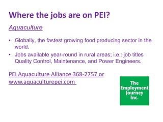 Where the jobs are on PEI?
Aquaculture
• Globally, the fastest growing food producing sector in the
world.
• Jobs available year-round in rural areas; i.e.: job titles
Quality Control, Maintenance, and Power Engineers.

PEI Aquaculture Alliance 368-2757 or
www.aquaculturepei.com

 
