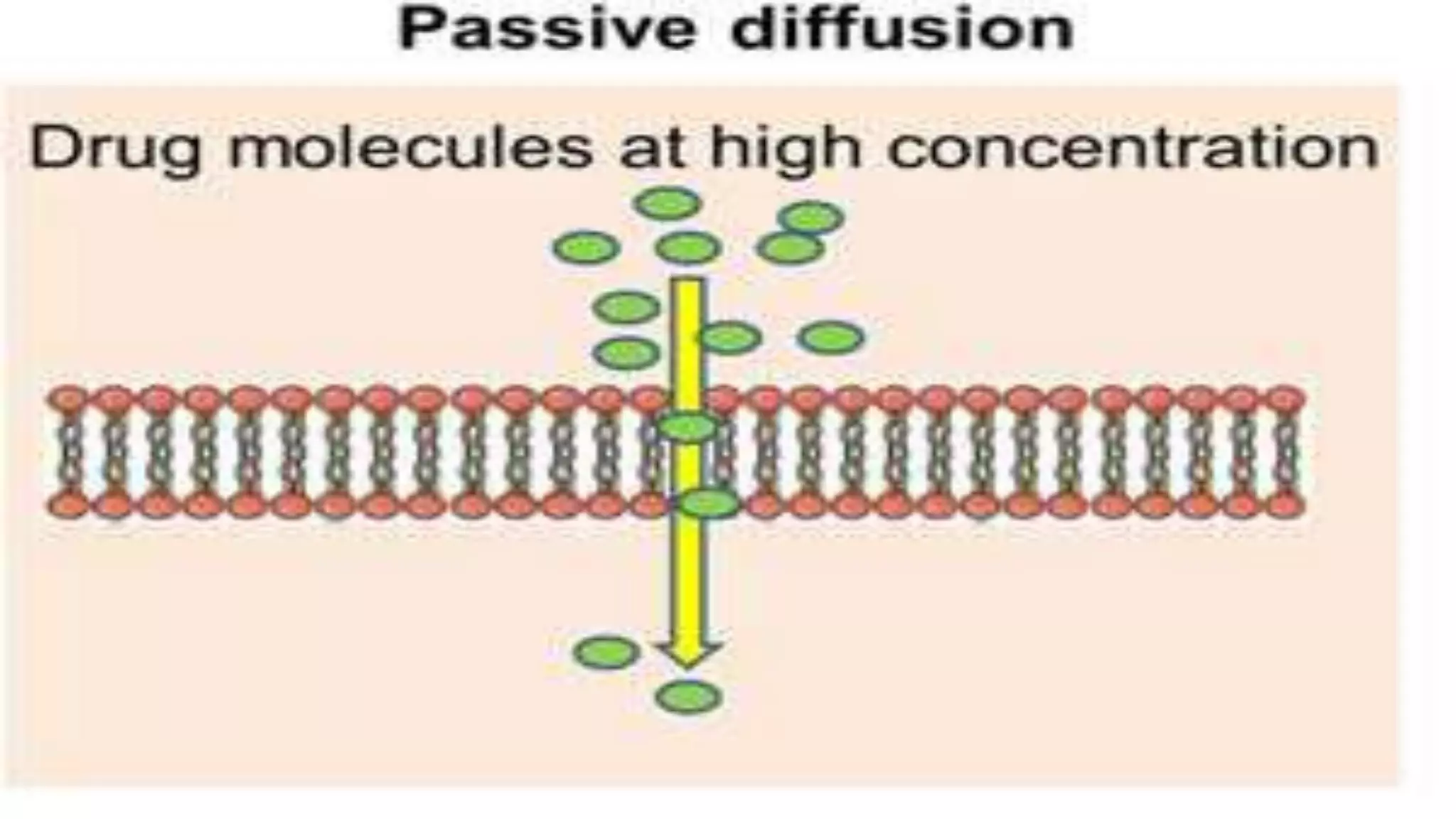 Overview of movement of drug molecules across cell membrane.pptx