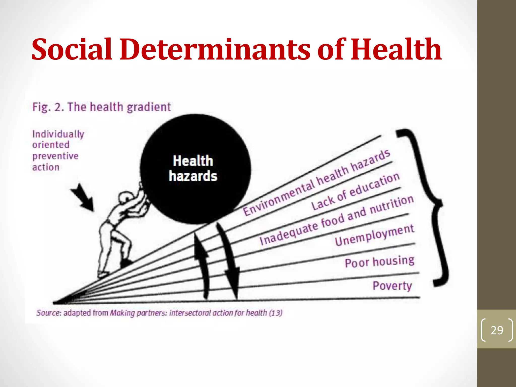 Social Determinants of Health 
29 
 