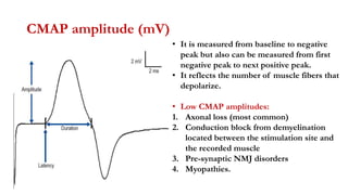 Sensory nerve action potential (SNAP): The SNAP represents the summation of all the
underlying sensory fiber action potent...