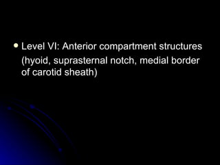 <ul><li>Level VI: Anterior compartment structures </li></ul><ul><li>(hyoid, suprasternal notch, medial border of carotid s...