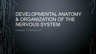 DEVELOPMENTAL ANATOMY
& ORGANIZATION OF THE
NERVOUS SYSTEM
EXEQUIEL P. DIMAANO, MD
 