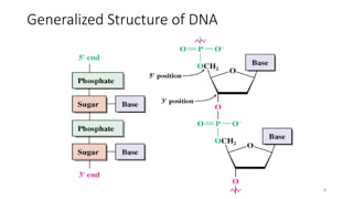 OVERVIEW OF NUCLEIC ACIDS STRUCTURE & FUNCTION-OPM2.pptx