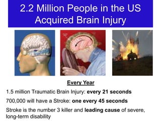 Overview of Neurological Vision Rehabilitation System | PPTX