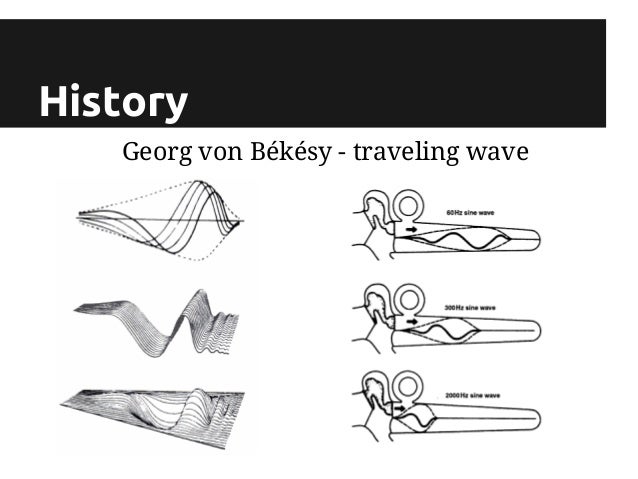 Von Bekesy S Traveling Wave Theory Von Bekesy S Traveling Wave Theory