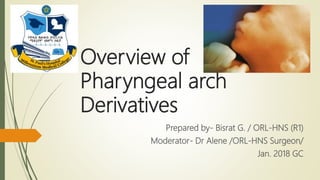 Overview of
Pharyngeal arch
Derivatives
Prepared by- Bisrat G. / ORL-HNS (R1)
Moderator- Dr Alene /ORL-HNS Surgeon/
Jan. 2018 GC
 