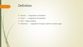 Overview of pharyngeal arch derivatives beba | PPTX