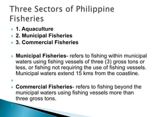  1. Aquaculture
 2. Municipal Fisheries
 3. Commercial Fisheries
 Municipal Fisheries- refers to fishing within munici...