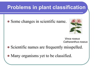 Problems in plant classification
 Some changes in scientific name.
 Scientific names are frequently misspelled.
 Many organisms yet to be classified.
Vinca roseus
Catharanthus roseus
 