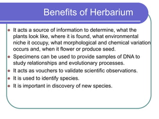 Benefits of Herbarium
 It acts a source of information to determine, what the
plants look like, where it is found, what environmental
niche it occupy, what morphological and chemical variation
occurs and, when it flower or produce seed.
 Specimens can be used to provide samples of DNA to
study relationships and evolutionary processes.
 It acts as vouchers to validate scientific observations.
 It is used to identify species.
 It is important in discovery of new species.
 