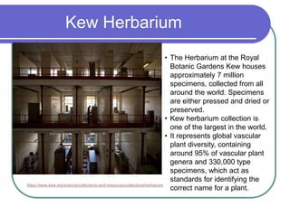 Kew Herbarium
https://www.kew.org/science/collections-and-resources/collections/herbarium
• The Herbarium at the Royal
Botanic Gardens Kew houses
approximately 7 million
specimens, collected from all
around the world. Specimens
are either pressed and dried or
preserved.
• Kew herbarium collection is
one of the largest in the world.
• It represents global vascular
plant diversity, containing
around 95% of vascular plant
genera and 330,000 type
specimens, which act as
standards for identifying the
correct name for a plant.
 