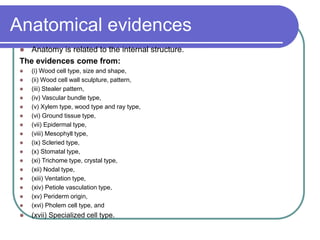 Anatomical evidences
 Anatomy is related to the internal structure.
The evidences come from:
 (i) Wood cell type, size and shape,
 (ii) Wood cell wall sculpture, pattern,
 (iii) Stealer pattern,
 (iv) Vascular bundle type,
 (v) Xylem type, wood type and ray type,
 (vi) Ground tissue type,
 (vii) Epidermal type,
 (viii) Mesophyll type,
 (ix) Scleried type,
 (x) Stomatal type,
 (xi) Trichome type, crystal type,
 (xii) Nodal type,
 (xiii) Ventation type,
 (xiv) Petiole vasculation type,
 (xv) Periderm origin,
 (xvi) Pholem cell type, and
 (xvii) Specialized cell type.
 