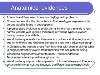 Anatomical evidences
 Anatomical data is used to resolve phylogenetic problems.
 Nonporous wood is the characteristic feature of gymnosperms while
porous wood is found in angiosperms.
 A progressives evolution in angiosperms from small tracheids to long
narrow vessels with lignified thickening of various types is evident
through anatomical details.
 Wood anatomy reveals that Gnetales are not ancestral to angiosperms
and Amentiferae and Gnatales constitute a relatively advanced group.
 In Gnetales, the vessels arose from tracheids with circular pittings while
in angiosperms they evolve from tracheids with scalariform pitting.
 Vesselless angiosperms of Winteraeae, Trochodendraceae
Tetracentraceae are primitive angiosperms.
 Wood anatomy supports the separation of Austrobaileya and Paeonia to
separate family as Austrobaileyacae and Paeoniaceae respectively.
 
