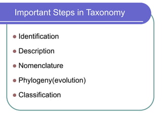 Important Steps in Taxonomy
 Identification
 Description
 Nomenclature
 Phylogeny(evolution)
 Classification
 
