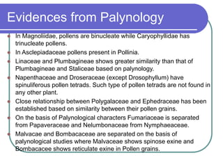 Evidences from Palynology
 In Magnoliidae, pollens are binucleate while Caryophyllidae has
trinucleate pollens.
 In Asclepiadaceae pollens present in Pollinia.
 Linaceae and Plumbagineae shows greater similarity than that of
Plumbagineae and Staliceae based on palynology.
 Napenthaceae and Droseraceae (except Drosophyllum) have
spinuliferous pollen tetrads. Such type of pollen tetrads are not found in
any other plant.
 Close relationship between Polygalaceae and Ephedraceae has been
established based on similarity between their pollen grains.
 On the basis of Palynological characters Fumariaceae is separated
from Papaveraceae and Nelumbonaceae from Nymphaeaceae.
 Malvacae and Bombacaceae are separated on the basis of
palynological studies where Malvaceae shows spinose exine and
Bombacacee shows reticulate exine in Pollen grains.
 