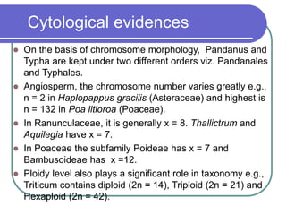 Cytological evidences
 On the basis of chromosome morphology, Pandanus and
Typha are kept under two different orders viz. Pandanales
and Typhales.
 Angiosperm, the chromosome number varies greatly e.g.,
n = 2 in Haplopappus gracilis (Asteraceae) and highest is
n = 132 in Poa litloroa (Poaceae).
 In Ranunculaceae, it is generally x = 8. Thallictrum and
Aquilegia have x = 7.
 In Poaceae the subfamily Poideae has x = 7 and
Bambusoideae has x =12.
 Ploidy level also plays a significant role in taxonomy e.g.,
Triticum contains diploid (2n = 14), Triploid (2n = 21) and
Hexaploid (2n = 42).
 