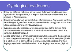 Cytological evidences
 Based on different nature of karyotype of Butomus from Limnocharis,
Hydrocharis, Tenagocharis, it is kept in Butomaceae while others are
retained in Alismataceae.
 Karyotype(structure of genome) study of members of Agavaceae confirms
the shifting of Agave from Amaryllidaceae (inferior ovary) and Yucca from
Liliaceae (superior ovary) into Agavaceae.
 Cyperaceae and Juncaceae were separated due to the distinct floral
structure however, based on the holocentric chromosomes these are
considered closely related.
 Meiotic behaviour of chromosomes is helpful in comparing the genomes
to detect degree of homology e.g., Triticum aestivum is haxaploid (A A B
B D D)where ‘A’ is derived from T. monococcum (diploid) and ‘B’ from
Aegilops speltoides and D is derived from Aegilops squarrosa (diploid).
 