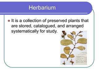 Herbarium
 It is a collection of preserved plants that
are stored, catalogued, and arranged
systematically for study.
 