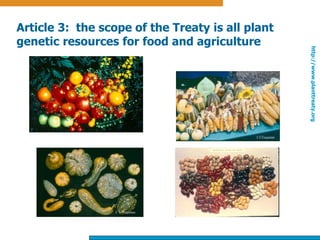 Overview of International Treaty on Plant Genetic Resources for Food ...