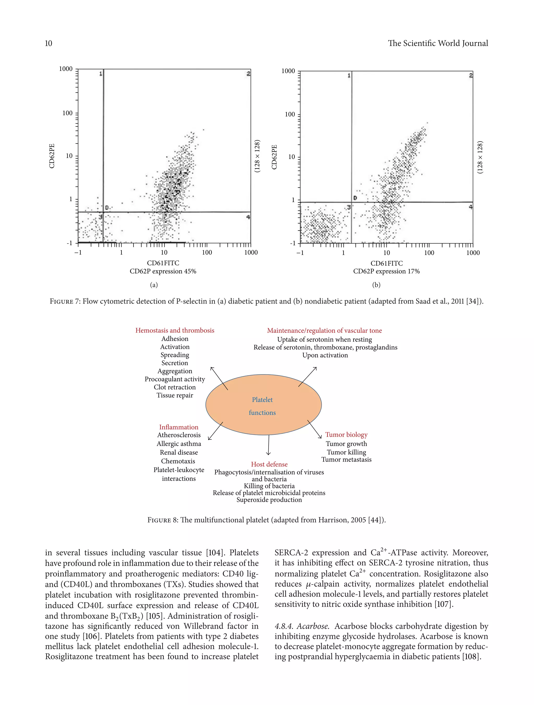 10 The ScientificWorld Journal 
CD62PE 
CD61FITC 
CD62P expression 45% 
1 
-1 
1 
10 
10 
100 
100 
1000 
(128 × 128) 
−1 1000 
(a) 
CD61FITC 
CD62P expression 17% 
CD62PE 
1000 
100 
1 
-1 
1 
10 
(128 × 128) 
−1 10 100 1000 
(b) 
Figure 7: Flow cytometric detection of P-selectin in (a) diabetic patient and (b) nondiabetic patient (adapted from Saad et al., 2011 [34]). 
Platelet 
functions 
Hemostasis and thrombosis 
Adhesion 
Activation 
Spreading 
Secretion 
Aggregation 
Procoagulant activity 
Clot retraction 
Tissue repair 
Maintenance/regulation of vascular tone 
Uptake of serotonin when resting 
Release of serotonin, thromboxane, prostaglandins 
Upon activation 
Tumor biology 
Tumor growth 
Tumor killing 
Tumor metastasis 
Host defense 
Phagocytosis/internalisation of viruses 
and bacteria 
Killing of bacteria 
Superoxide production 
Inflammation 
Atherosclerosis 
Allergic asthma 
Renal disease 
Chemotaxis 
Platelet-leukocyte 
interactions 
Release of platelet microbicidal proteins 
Figure 8: The multifunctional platelet (adapted from Harrison, 2005 [44]). 
in several tissues including vascular tissue [104]. Platelets 
have profound role in inflammation due to their release of the 
proinflammatory and proatherogenic mediators: CD40 lig-and 
(CD40L) and thromboxanes (TXs). Studies showed that 
platelet incubation with rosiglitazone prevented thrombin-induced 
CD40L surface expression and release of CD40L 
and thromboxane B2(TxB2) [105]. Administration of rosigli-tazone 
has significantly reduced von Willebrand factor in 
one study [106]. Platelets from patients with type 2 diabetes 
mellitus lack platelet endothelial cell adhesion molecule-1. 
Rosiglitazone treatment has been found to increase platelet 
SERCA-2 expression and Ca2+-ATPase activity. Moreover, 
it has inhibiting effect on SERCA-2 tyrosine nitration, thus 
normalizing platelet Ca2+ concentration. Rosiglitazone also 
reduces 휇-calpain activity, normalizes platelet endothelial 
cell adhesion molecule-1 levels, and partially restores platelet 
sensitivity to nitric oxide synthase inhibition [107]. 
4.8.4. Acarbose. Acarbose blocks carbohydrate digestion by 
inhibiting enzyme glycoside hydrolases. Acarbose is known 
to decrease platelet-monocyte aggregate formation by reduc-ing 
postprandial hyperglycaemia in diabetic patients [108]. 
 