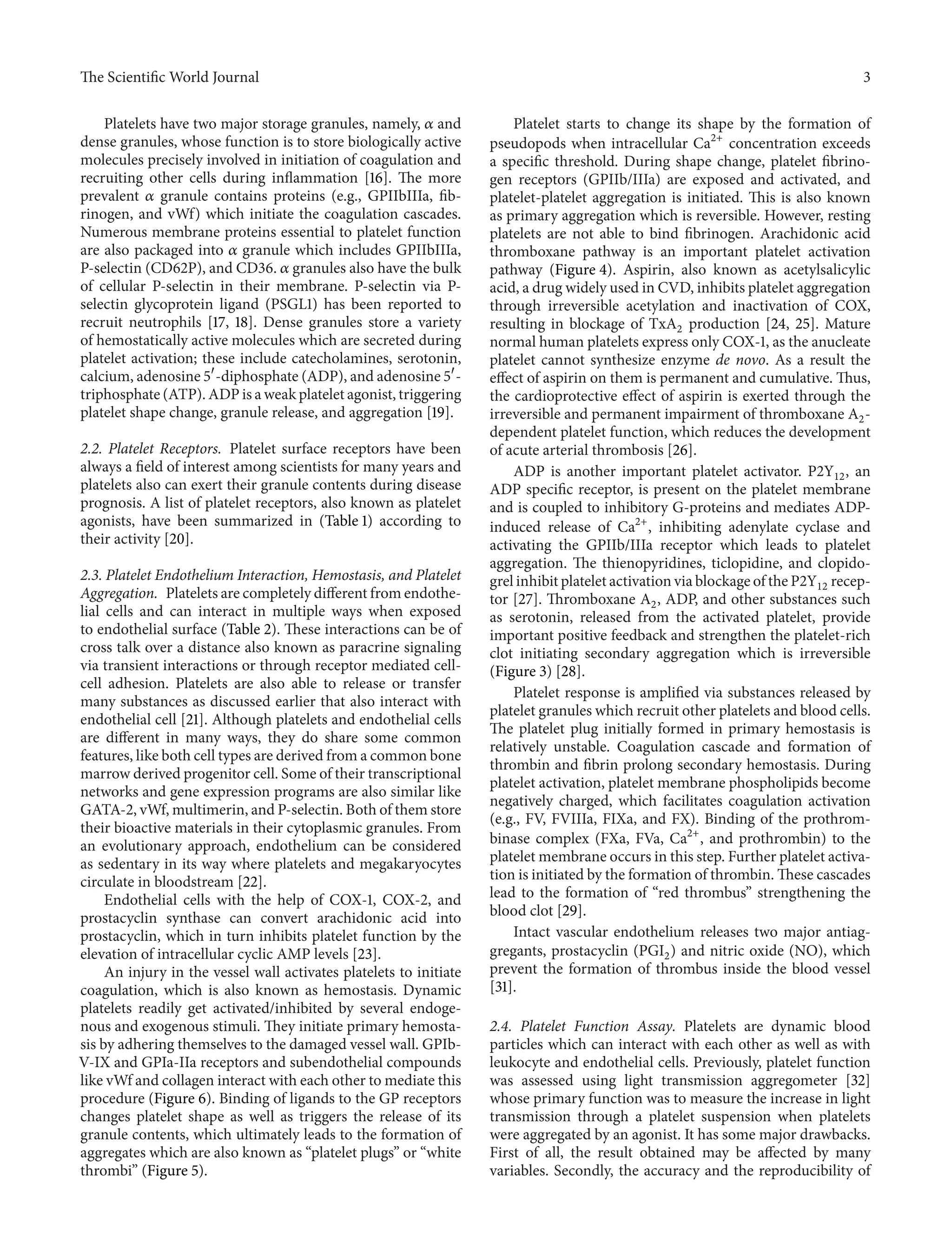 The ScientificWorld Journal 3 
Platelets have two major storage granules, namely, 훼 and 
dense granules, whose function is to store biologically active 
molecules precisely involved in initiation of coagulation and 
recruiting other cells during inflammation [16]. The more 
prevalent 훼 granule contains proteins (e.g., GPIIbIIIa, fib-rinogen, 
and vWf) which initiate the coagulation cascades. 
Numerous membrane proteins essential to platelet function 
are also packaged into 훼 granule which includes GPIIbIIIa, 
P-selectin (CD62P), and CD36. 훼 granules also have the bulk 
of cellular P-selectin in their membrane. P-selectin via P-selectin 
glycoprotein ligand (PSGL1) has been reported to 
recruit neutrophils [17, 18]. Dense granules store a variety 
of hemostatically active molecules which are secreted during 
platelet activation; these include catecholamines, serotonin, 
calcium, adenosine 5耠-diphosphate (ADP), and adenosine 5耠- 
triphosphate (ATP).ADP is aweak platelet agonist, triggering 
platelet shape change, granule release, and aggregation [19]. 
2.2. Platelet Receptors. Platelet surface receptors have been 
always a field of interest among scientists for many years and 
platelets also can exert their granule contents during disease 
prognosis. A list of platelet receptors, also known as platelet 
agonists, have been summarized in (Table 1) according to 
their activity [20]. 
2.3. Platelet Endothelium Interaction, Hemostasis, and Platelet 
Aggregation. Platelets are completely different fromendothe-lial 
cells and can interact in multiple ways when exposed 
to endothelial surface (Table 2). These interactions can be of 
cross talk over a distance also known as paracrine signaling 
via transient interactions or through receptor mediated cell-cell 
adhesion. Platelets are also able to release or transfer 
many substances as discussed earlier that also interact with 
endothelial cell [21]. Although platelets and endothelial cells 
are different in many ways, they do share some common 
features, like both cell types are derived froma common bone 
marrow derived progenitor cell. Some of their transcriptional 
networks and gene expression programs are also similar like 
GATA-2, vWf,multimerin, and P-selectin. Both of them store 
their bioactive materials in their cytoplasmic granules. From 
an evolutionary approach, endothelium can be considered 
as sedentary in its way where platelets and megakaryocytes 
circulate in bloodstream[22]. 
Endothelial cells with the help of COX-1, COX-2, and 
prostacyclin synthase can convert arachidonic acid into 
prostacyclin, which in turn inhibits platelet function by the 
elevation of intracellular cyclic AMP levels [23]. 
An injury in the vessel wall activates platelets to initiate 
coagulation, which is also known as hemostasis. Dynamic 
platelets readily get activated/inhibited by several endoge-nous 
and exogenous stimuli. They initiate primary hemosta-sis 
by adhering themselves to the damaged vessel wall. GPIb- 
V-IX and GPIa-IIa receptors and subendothelial compounds 
like vWf and collagen interact with each other tomediate this 
procedure (Figure 6). Binding of ligands to the GP receptors 
changes platelet shape as well as triggers the release of its 
granule contents, which ultimately leads to the formation of 
aggregates which are also known as “platelet plugs” or “white 
thrombi” (Figure 5). 
Platelet starts to change its shape by the formation of 
pseudopods when intracellular Ca2+ concentration exceeds 
a specific threshold. During shape change, platelet fibrino-gen 
receptors (GPIIb/IIIa) are exposed and activated, and 
platelet-platelet aggregation is initiated. This is also known 
as primary aggregation which is reversible. However, resting 
platelets are not able to bind fibrinogen. Arachidonic acid 
thromboxane pathway is an important platelet activation 
pathway (Figure 4). Aspirin, also known as acetylsalicylic 
acid, a drug widely used in CVD, inhibits platelet aggregation 
through irreversible acetylation and inactivation of COX, 
resulting in blockage of TxA2 production [24, 25]. Mature 
normal human platelets express only COX-1, as the anucleate 
platelet cannot synthesize enzyme de novo. As a result the 
effect of aspirin on them is permanent and cumulative.Thus, 
the cardioprotective effect of aspirin is exerted through the 
irreversible and permanent impairment of thromboxane A2- 
dependent platelet function, which reduces the development 
of acute arterial thrombosis [26]. 
ADP is another important platelet activator. P2Y12, an 
ADP specific receptor, is present on the platelet membrane 
and is coupled to inhibitory G-proteins and mediates ADP-induced 
release of Ca2+, inhibiting adenylate cyclase and 
activating the GPIIb/IIIa receptor which leads to platelet 
aggregation. The thienopyridines, ticlopidine, and clopido-grel 
inhibit platelet activationviablockageof theP2Y12 recep-tor 
[27]. Thromboxane A2, ADP, and other substances such 
as serotonin, released from the activated platelet, provide 
important positive feedback and strengthen the platelet-rich 
clot initiating secondary aggregation which is irreversible 
(Figure 3) [28]. 
Platelet response is amplified via substances released by 
platelet granules which recruit other platelets and blood cells. 
The platelet plug initially formed in primary hemostasis is 
relatively unstable. Coagulation cascade and formation of 
thrombin and fibrin prolong secondary hemostasis. During 
platelet activation, platelet membrane phospholipids become 
negatively charged, which facilitates coagulation activation 
(e.g., FV, FVIIIa, FIXa, and FX). Binding of the prothrom-binase 
complex (FXa, FVa, Ca2+, and prothrombin) to the 
platelet membrane occurs in this step. Further platelet activa-tion 
is initiated by the formation of thrombin. These cascades 
lead to the formation of “red thrombus” strengthening the 
blood clot [29]. 
Intact vascular endothelium releases two major antiag-gregants, 
prostacyclin (PGI2) and nitric oxide (NO), which 
prevent the formation of thrombus inside the blood vessel 
[31]. 
2.4. Platelet Function Assay. Platelets are dynamic blood 
particles which can interact with each other as well as with 
leukocyte and endothelial cells. Previously, platelet function 
was assessed using light transmission aggregometer [32] 
whose primary functionwas to measure the increase in light 
transmission through a platelet suspension when platelets 
were aggregated by an agonist. It has some major drawbacks. 
First of all, the result obtained may be affected by many 
variables. Secondly, the accuracy and the reproducibility of 
 