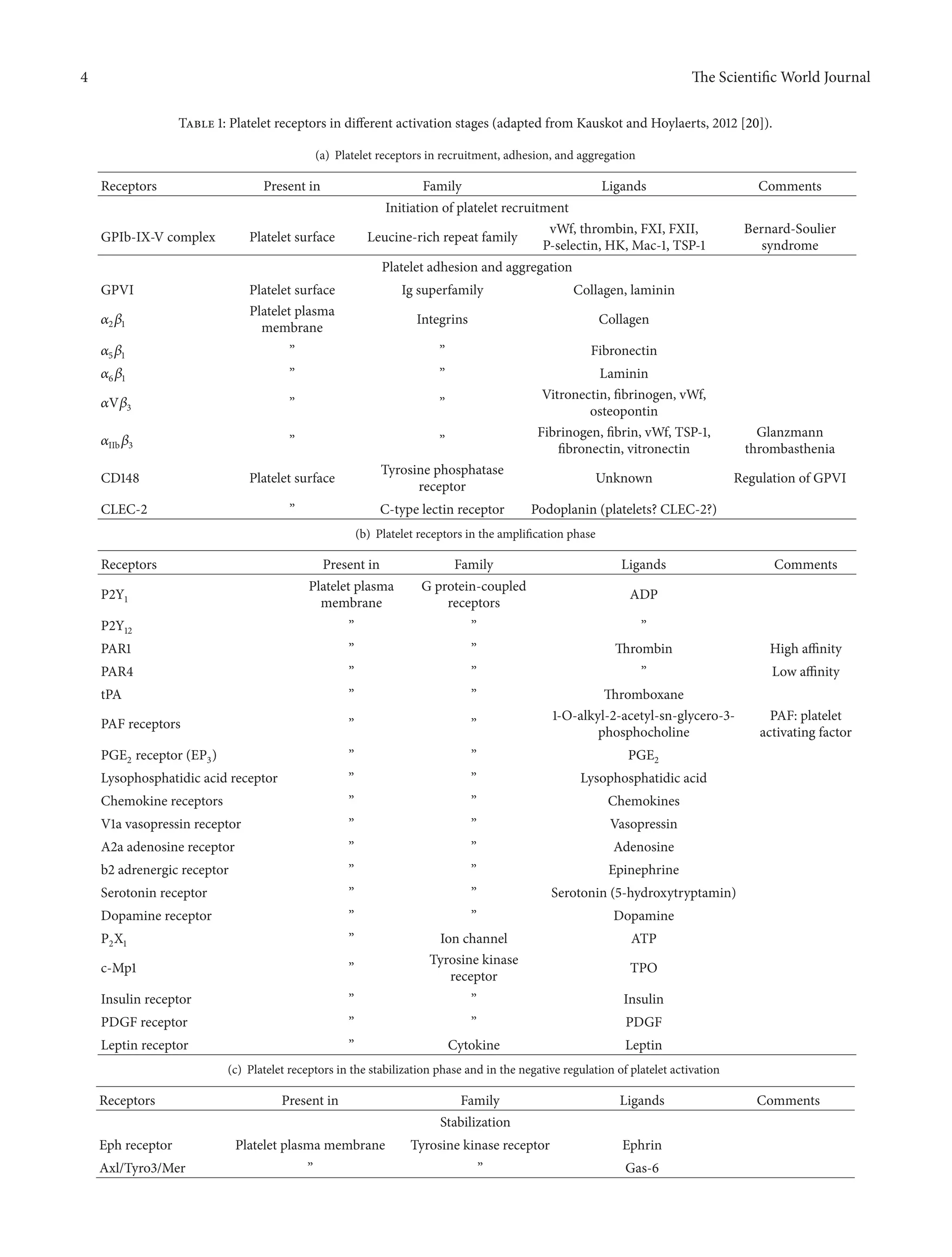 4 The ScientificWorld Journal 
Table 1: Platelet receptors in different activation stages (adapted from Kauskot and Hoylaerts, 2012 [20]). 
(a) Platelet receptors in recruitment, adhesion, and aggregation 
Receptors Present in Family Ligands Comments 
Initiation of platelet recruitment 
GPIb-IX-V complex Platelet surface Leucine-rich repeat family vWf, thrombin, FXI, FXII, 
P-selectin, HK, Mac-1, TSP-1 
Bernard-Soulier 
syndrome 
Platelet adhesion and aggregation 
GPVI Platelet surface Ig superfamily Collagen, laminin 
훼2훽1 
Platelet plasma 
membrane Integrins Collagen 
훼5훽1 ” ” Fibronectin 
훼6훽1 ” ” Laminin 
훼V훽3 ” ” Vitronectin, fibrinogen, vWf, 
osteopontin 
훼IIb훽3 ” ” Fibrinogen, fibrin, vWf, TSP-1, 
fibronectin, vitronectin 
Glanzmann 
thrombasthenia 
CD148 Platelet surface Tyrosine phosphatase 
receptor Unknown Regulation of GPVI 
CLEC-2 ” C-type lectin receptor Podoplanin (platelets? CLEC-2?) 
(b) Platelet receptors in the amplification phase 
Receptors Present in Family Ligands Comments 
P2Y1 
Platelet plasma 
membrane 
G protein-coupled 
receptors ADP 
P2Y12 ” ” ” 
PAR1 ” ” Thrombin High affinity 
PAR4 ” ” ” Low affinity 
tPA ” ” Thromboxane 
PAF receptors ” ” 1-O-alkyl-2-acetyl-sn-glycero-3- 
phosphocholine 
PAF: platelet 
activating factor 
PGE2 receptor (EP3) ” ” PGE2 
Lysophosphatidic acid receptor ” ” Lysophosphatidic acid 
Chemokine receptors ” ” Chemokines 
V1a vasopressin receptor ” ” Vasopressin 
A2a adenosine receptor ” ” Adenosine 
b2 adrenergic receptor ” ” Epinephrine 
Serotonin receptor ” ” Serotonin (5-hydroxytryptamin) 
Dopamine receptor ” ” Dopamine 
P2X1 ” Ion channel ATP 
c-Mp1 ” Tyrosine kinase 
receptor TPO 
Insulin receptor ” ” Insulin 
PDGF receptor ” ” PDGF 
Leptin receptor ” Cytokine Leptin 
(c) Platelet receptors in the stabilization phase and in the negative regulation of platelet activation 
Receptors Present in Family Ligands Comments 
Stabilization 
Eph receptor Platelet plasma membrane Tyrosine kinase receptor Ephrin 
Axl/Tyro3/Mer ” ” Gas-6 
 