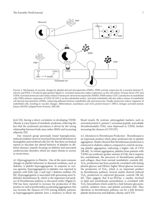 The ScientificWorld Journal 7 
COX-2 
Endothelial cell 
PMP 
TF 
MMP 
Monocyte 
CD62P PMP 
PMP CD11b 
EMP 
CD54 
PSGL-1 
AA 
PKC MAPK 
Figure 2: Mechanism of vascular changes by platelet-derived microparticles (PMPs). PMPs activate monocytes by a reaction between P-selectin 
and PSGL-1 (P-selectin glycoprotein ligand-1). Activated monocytes induce expression on the cell surface of tissue factor (TF) and 
CD11b.Activatedmonocytes also induce release ofmonocyte-derived microparticles(MMPs). PMPs induceCOX-2 production in endothelial 
cells. PMPs enhance expression of CD54 (ICAM-1) on the endothelial surface. Activated endothelial cells also induce release of endothelial 
cell-derived microparticles (EMPs), enhancing adhesion between endothelial cells and monocytes. Finally, monocytes induce migration of 
endothelial cells, resulting in vascular changes. Abbreviations: arachidonic acid (AA); protein kinase C (PKC); mitogen-activated protein 
kinase (MAPK) (adapted from Nomura, 2001 [8]). 
level [51], having a direct correlation in developing T2DM. 
Obesity is a key feature ofmetabolic syndrome, reflecting the 
fact that the syndrome’s prevalence is driven by the strong 
relationship between body mass index (BMI) and increasing 
adiposity [52]. 
Our research group previously found hyperglycemia-induced 
oxidative stress in structural functional alterations of 
hemoglobin and red blood cells [53, 54]. But there are limited 
reports to elucidate the altered behavior of platelets in dif-ferent 
diseases, majorly focusing on diabetes and associated 
cardiovascular disorders which are major threats to society 
in recent times. 
4.1. Hyperaggregation in Platelets. One of the most common 
changes in platelet behaviour in diseased condition, such as 
diabetes, is platelet hyperaggregation. In response to vari-ous 
agonists, hyperaggregation in platelets was reported in 
patients with both type 2 and type 1 diabetes mellitus [55, 
56]. Hyperaggregation is associated with generating more 11- 
dehydro-thromboxane B2 which is the important end prod-uct 
of thromboxane pathway as discussed earlier (Figure 2). 
DM has been reported to increase the production of this 
product as well as prothrombin accelerating aggregation; this 
can increase the chances of CVD among diabetic patients, 
as hyperaggregated platelets have a tendency to block the 
blood vessels. By contrast, anticoagulant markers, such as 
activated protein C, protein C activation peptide, and soluble 
thrombomodulin (TM), were depressed in T2DM, further 
increasing the chances of CVD [57]. 
4.2. Alterations inThromboxane Production. Thromboxane is 
an important product which plays profound role in platelet 
aggregation. Studies showed that thromboxane production is 
enhanced in diabetes subjects compared to controls increas-ing 
platelet aggregation, indicating a higher risk of CVD 
[58–60]. To initiate aggregation, platelets from patients with 
T2DM can synthesize greater amount of TxB2 but it requires 
less arachidonate, the precursor of thromboxane pathway 
and collagen, than from normal nondiabetic controls [61]. 
TxA2 production has been positively correlated with fasting 
plasma glucose and HbA1c; higher blood glucose increases 
the production of TxA2 which is an important product 
in thromboxane pathway. Several studies showed reduced 
TxA2 production in improved glycaemic controls [58, 62, 
63]. Data suggests that 8-iso-PGF2훼, a marker involved 
in lipid and arachidonate peroxidation; is correlated with 
TxA2 biosynthesis which could be a link between glycaemic 
control, oxidative stress, and platelet activation [64]. Thus 
alteration in thromboxane pathway can be a link between 
platelet dysfunction and diabetes, obesity, and CVD. 
 