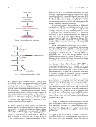 8 The ScientificWorld Journal 
Vascular injury 
Primary hemostasis 
Vasoconstriction 
Platelet plug formation 
Secondary hemostasis 
Coagulation (fibrin formation) fibrinolysis 
Repair process 
Wound healing 
Figure 3: Pathway illustrating hemostasis. 
Arachidonic acid 
Cyclooxygenase 
Prostaglandin G2(PGG2) 
Prostaglandin H2(PGH2) Prostacyclin (PGI2) 
TxA2-synthase 
Thromboxane A2 (TxA2) 
Thromboxane B2 (TxB2) 
11-Dehydro-TxB2 2,3-dinor-TxB2 
Figure 4:Thromboxane biosynthesis pathway. 
4.3. Changes in PlateletMembrane Fluidity. Change in mem-brane 
fluidity has been assigned to the impairment of platelet 
functions since membrane fluidity can modulate cell func-tion, 
and reducedmembrane fluidity in cholesterol- enriched 
platelets is associated with platelet hypersensitivity to differ-ent 
agonists [65]. Due to glycation of membrane proteins, 
platelet membrane fluidity has been grossly impaired in 
diabetes. Decreased membrane fluidity of these platelets is 
attributed to an increased cholesterol-phospholipid molar 
ratio in platelet membranes. Reduced membrane fluidity 
is associated with hypersensitivity to thrombin in intact 
platelets from diabetic subjects [66, 67]. 
4.4. Altered Expression of Platelet Agonists. The number and 
adhesiveness of several platelet specific surface glycoprotein 
receptors (GP) are significantly enhanced in diabetic subjects. 
CD40 ligand on platelets has been correlated with HbA1c 
concentrations. An upregulation of the CD40-CD40 ligand 
system has been observed in patients with DM [68] along 
with an increase in GPIIb/IIIa, vWf, GPIa/IIa, P-selectin 
(CD62), and CD63 [69–72]. Patients suffering from ischemic 
heart disease (IHD) and depression concurrently may have 
abnormal platelet activation resulting in an increased risk of 
thrombosis. Mean PF4 and 훽-TG plasma levels in the IHD 
group with depression were found to be significantly higher 
than those of the control and IHDgroups [73].Moreover high 
vWf value may increase the chance of CVD [74] which can 
also act as an index for disease prediction. 
Hyperglycemia induces downregulation of SIRT1 and 
upregulation of PAF-R in endothelial progenitor cells whose 
association is linkedwith vascular complications [75]. Platelet 
activity is correlated with nitric oxide (NO) synthesis, which 
is impaired in acute coronary syndrome (ACS). Significant 
differences of eNOS gene polymorphism and expression 
have been observed between diabetic patients with ACS 
and patients with ACS but no history of diabetes [76]. 
Platelet FcgammaRIIA is significantly overexpressed in type 
2 diabetes whose interaction with collagen may alter platelet 
adhesion. 
Several candidate gene polymorphisms have been associ-ated 
with platelet functions. Polymorphisms of these genes 
may develop CAD, CVD, and ACS in both diabetic and 
nondiabetic subjects. Some of these genes are glycoprotein 
Ia/IIa (2 
1훼 
훽 
) (—807C>T, 873G>A—, —837C>T, 1648A>G), 
glycoprotein lb훼 (VNTR A-D), and glycoprotein IIb/IIIa 
(substitution of proline for leucine at position 33) [77]. 
However, alpha 2 integrin C807T gene polymorphism plays a 
crucial role in arterial thrombosis [78]. 
4.5. Changes in Mean Platelet Volume (MPV). MPV is 
machine generated average size of a platelet, whose value 
is enhanced in subjects with DM. An explanation of this 
phenomenon is that larger platelets are more reactive and can 
express more surface receptors [88, 89]. IncreasedMPV value 
is associated with diabetic retinopathy. Event of myocardial 
infarction is positively correlated with MPV [90]. 
4.6. Alterations in Intracellular Ionic Environment. Platelet 
hyperactivity is associated with reduced Na+/K+ ATPase and 
increased Ca2+ ATPase activity which can increase intra-cellular 
Ca2+ concentration, thus increasing platelet activity 
[91]. Moreover a decrease in intracellularMg+ concentration 
in diabetic platelets may provoke an accelerating effect in 
platelet activity [92]. Oxidative stress is associated with 
superoxide anion production and nitric oxide (NO) synthesis 
as well as production of reduced glutathione. Hyperglycemia 
exerts oxidative stress which can further implement altered 
platelet functions [93]. 
4.7. Changes in Mitochondrial Membrane Potential. Studies 
have established that plasma glycated haemoglobin (HbA1c) 
level is positively correlated with platelet ATP content, sug-gesting 
that hyperglycemia promotes platelet mitochondria 
to generate more ATP, but decreases platelet mitochondrial 
potential [94]. 
4.8. Effect of Antidiabetic Drugs on Platelet Dysfunction. 
Apart from aspirin which is commonly used in diabetes mel-litus, 
many widely used antidiabetic drugs also result in 
 