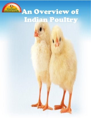 An Overview of
Indian Poultry
 