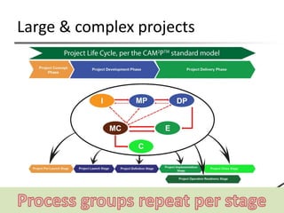 Overview of project management in engineering environment | PDF