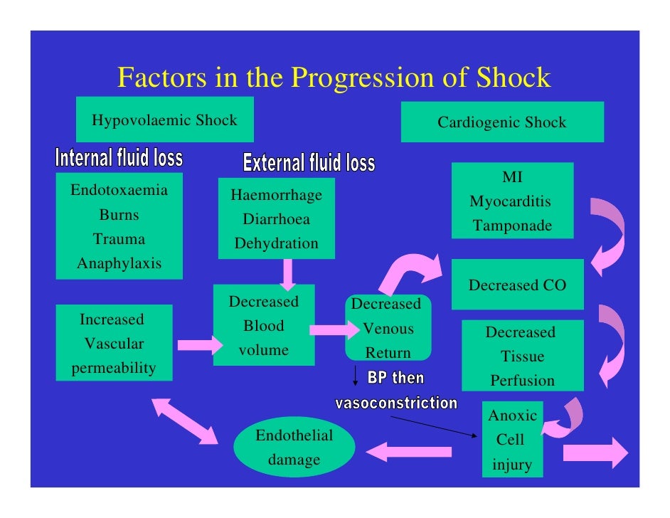 Overview of Shock